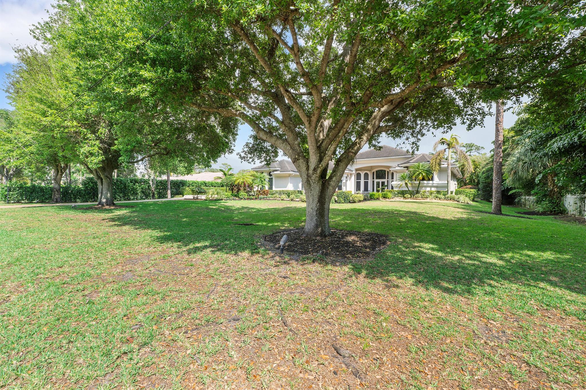 Pine Tree Estates - Residential