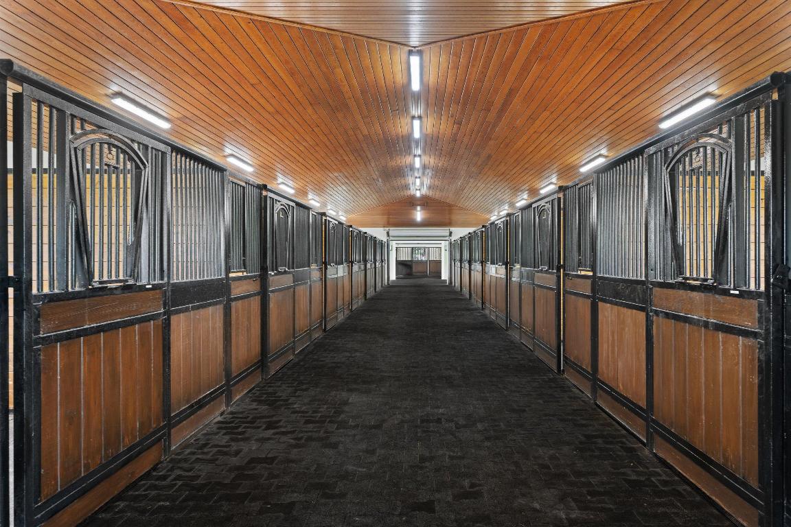 SADDLE TRAIL PARK OF WELLINGTON - Land