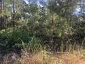 Build your dream home in Interlachen Estates. NO HOA. Quiet street with no neighbors.
Owner financing available with only $1,000 down