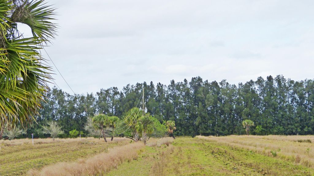 Photo of Tbd Kelly Road, Fort Pierce, FL 34945 (MLS # R11168322)