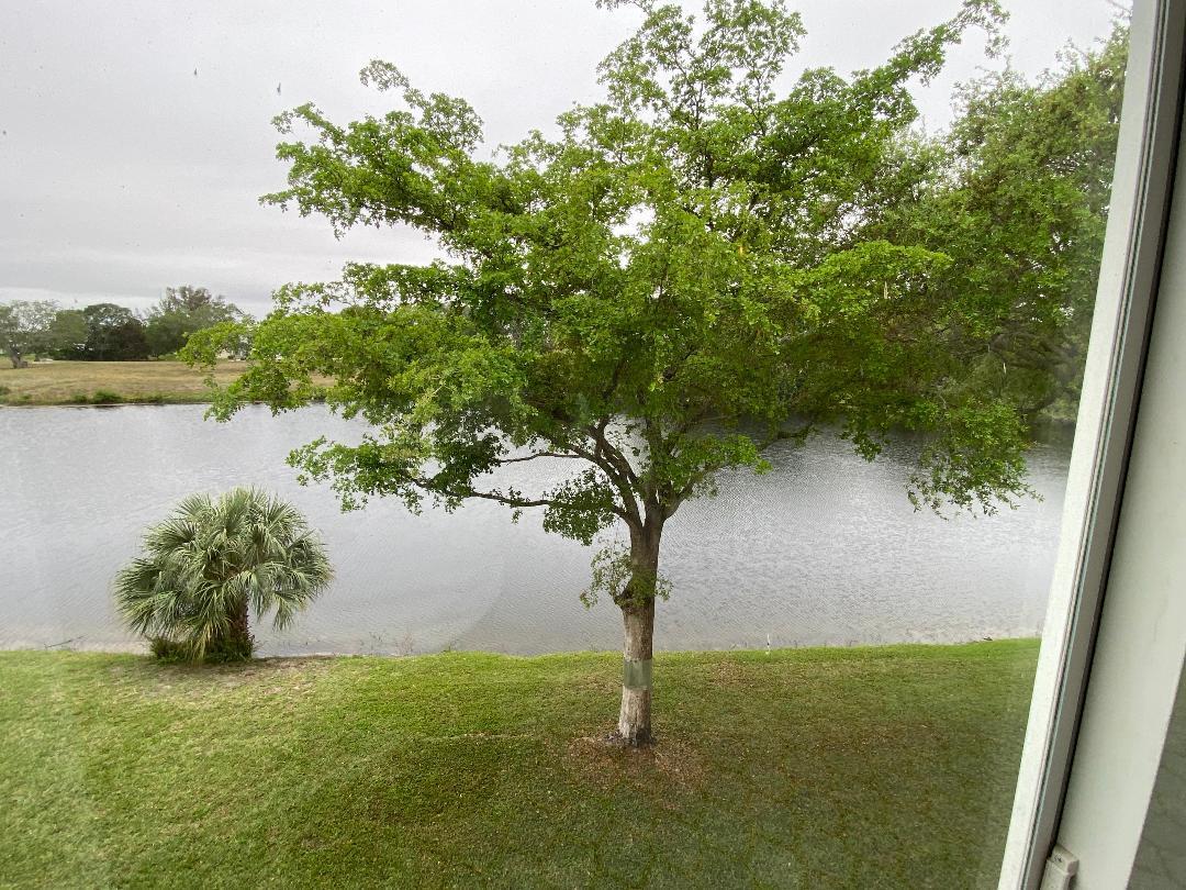 BERKSHIRE C CONDO - Residential