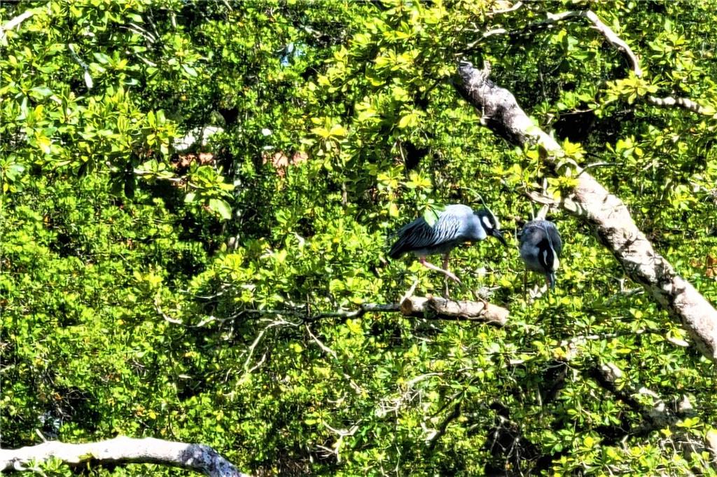 Casa del Sol - Residential