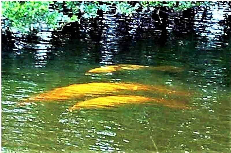 Casa del Sol - Residential