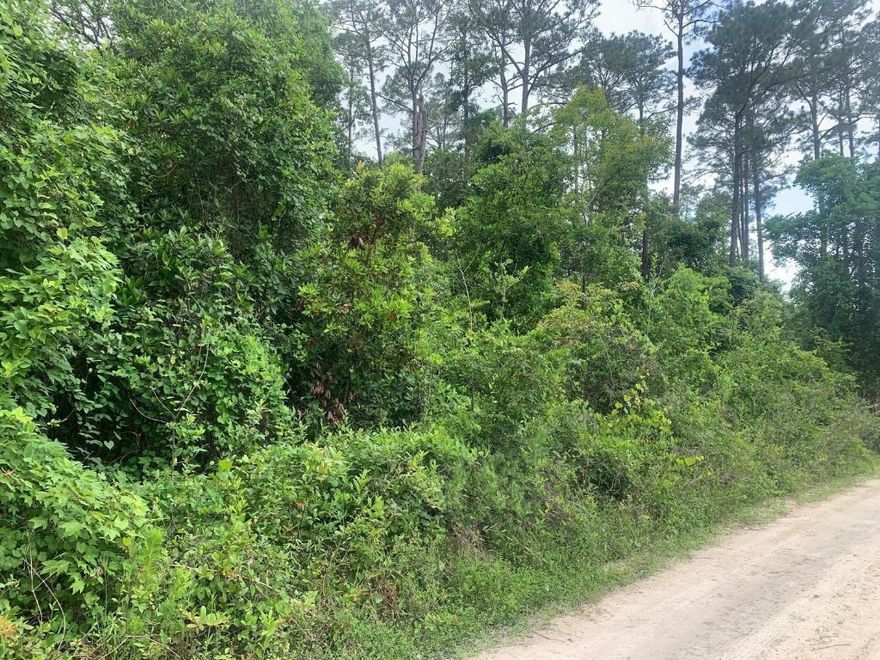 1/4 acre residential property, 2 adjacent properties available.Owner finance available $1,500 down