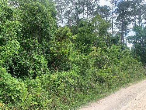 117 Coot Drive Satsuma FL 32189