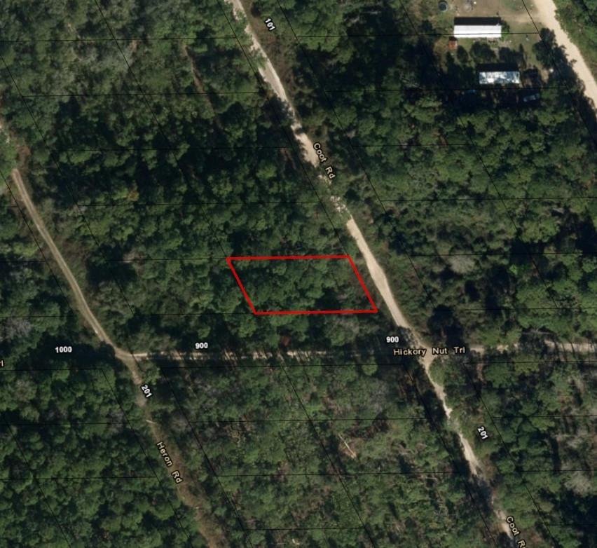 117 Coot Drive