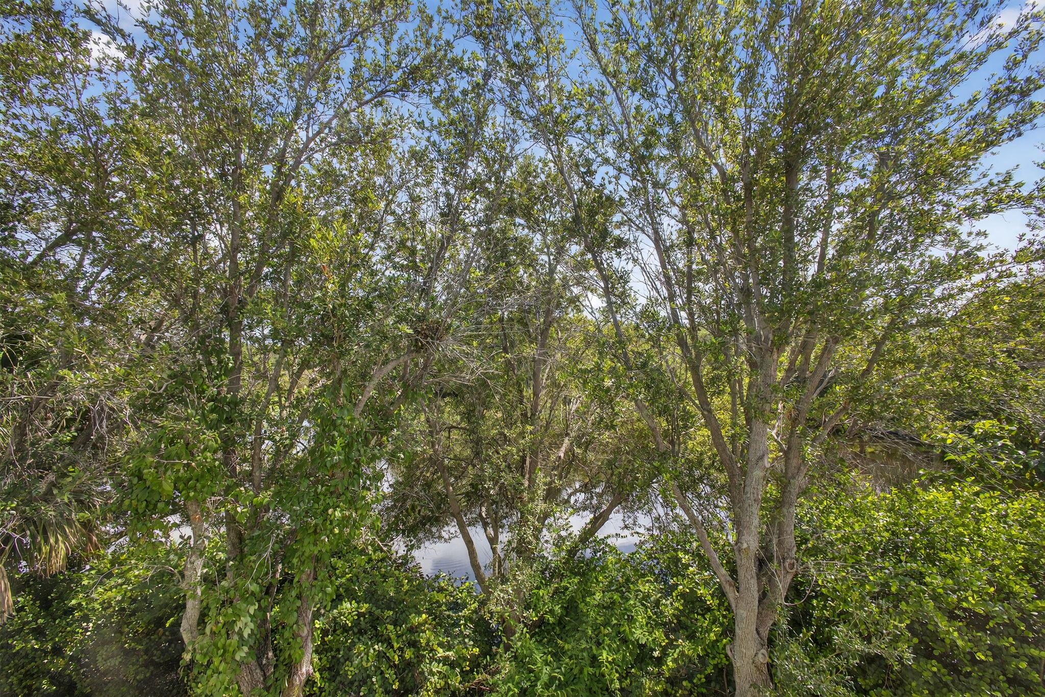 THOUSAND OAKS - Residential Lease