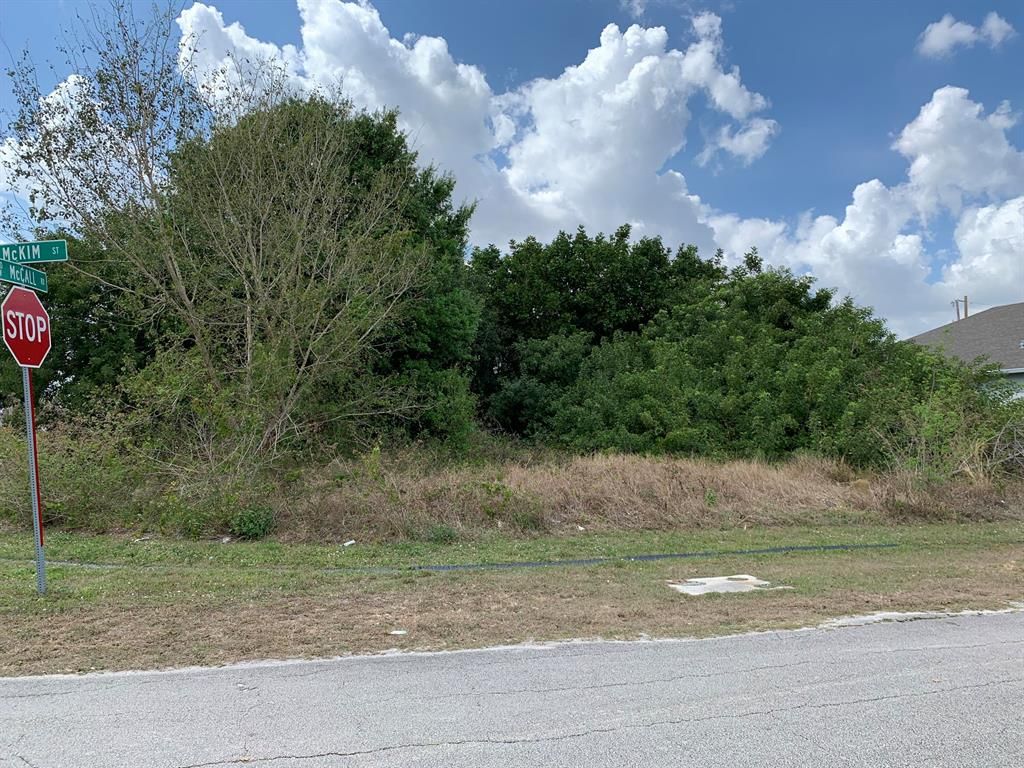 Photo of 3886 SW Mckim Street, Port Saint Lucie, FL 34953 (MLS # R10782561)