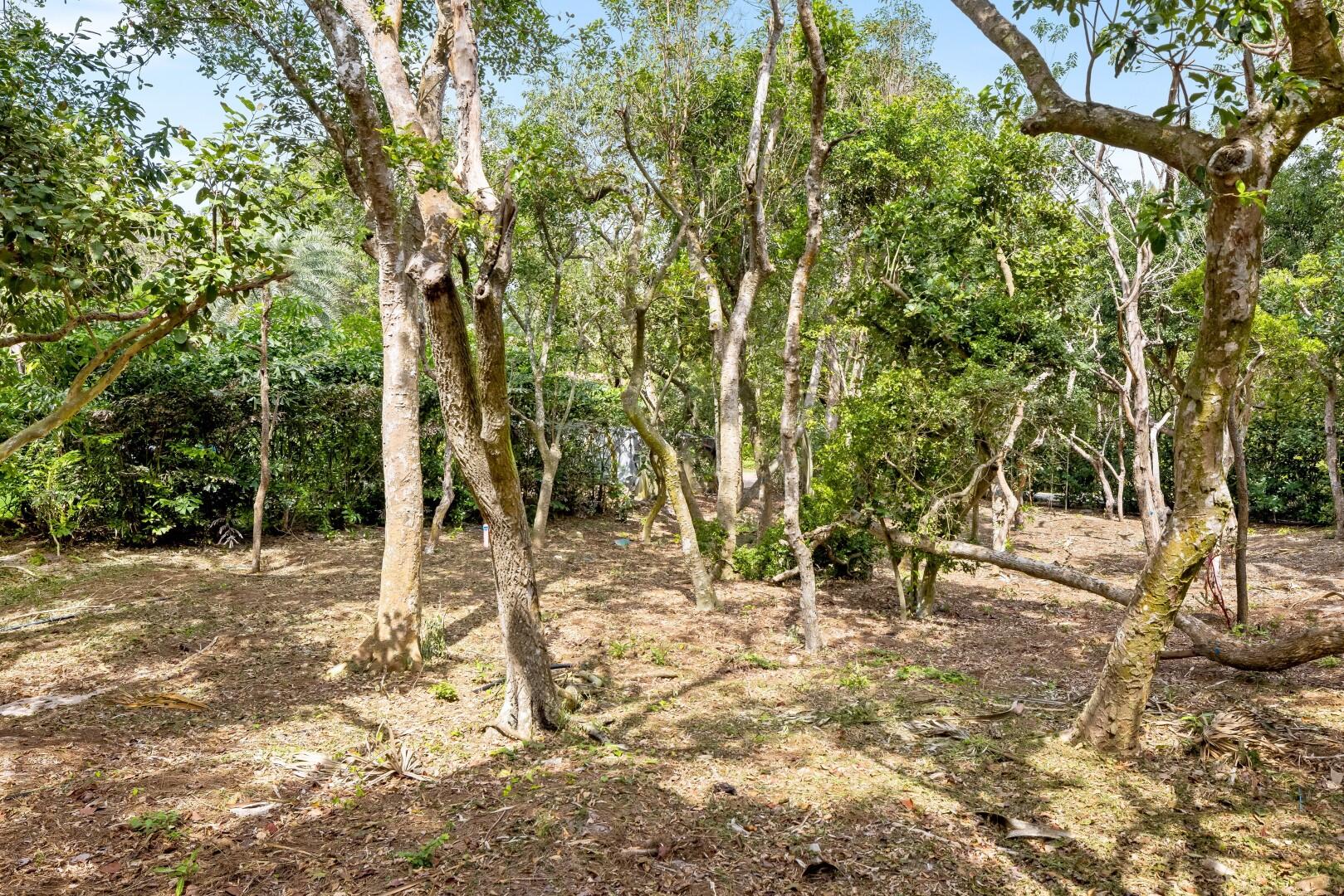 JUPITER ISLAND - Residential