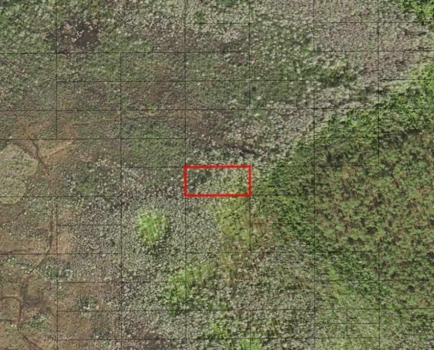 Ride, camp and hunt in Holopaw!Owner fiancing available