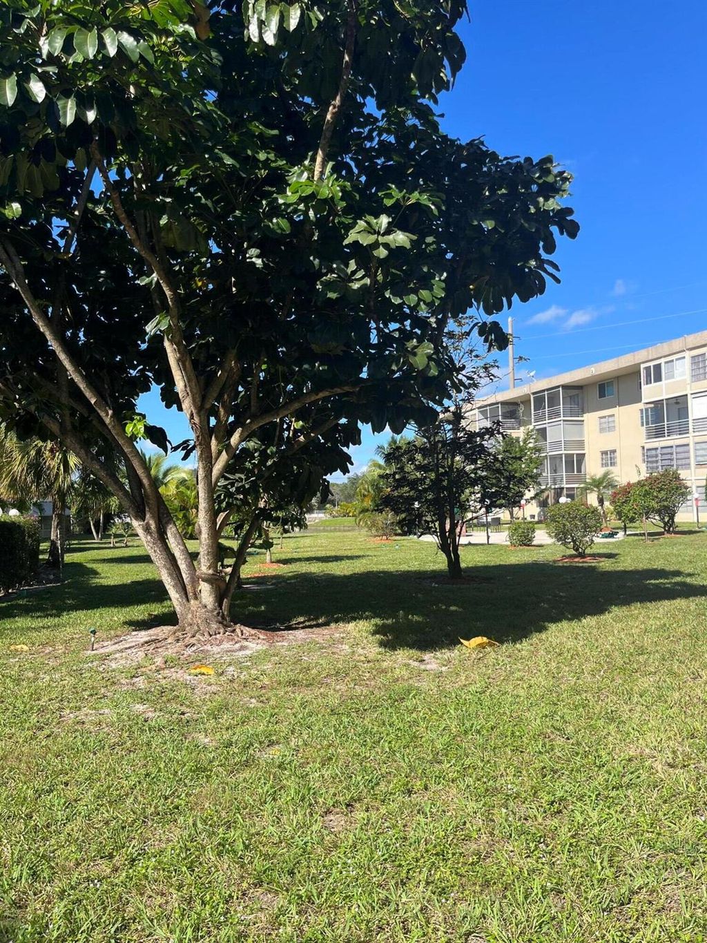 Photo of 3091 NW 46 Avenue NW #102a, Lauderdale Lakes, FL 33313 (MLS # R10939014)