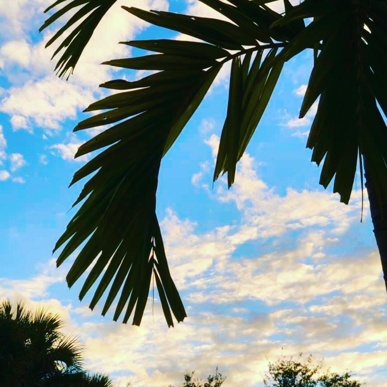 DELRAY VILLAS 4 - Residential Lease