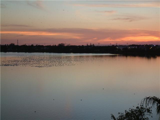 Lake Emerald - Residential