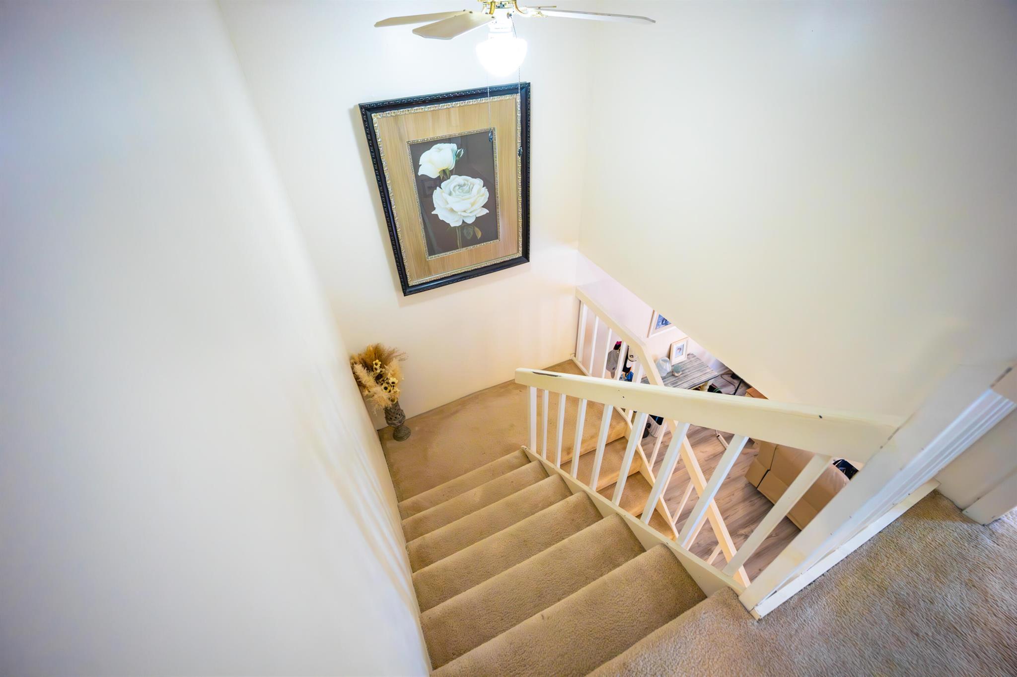 OCEAN COVE - Residential