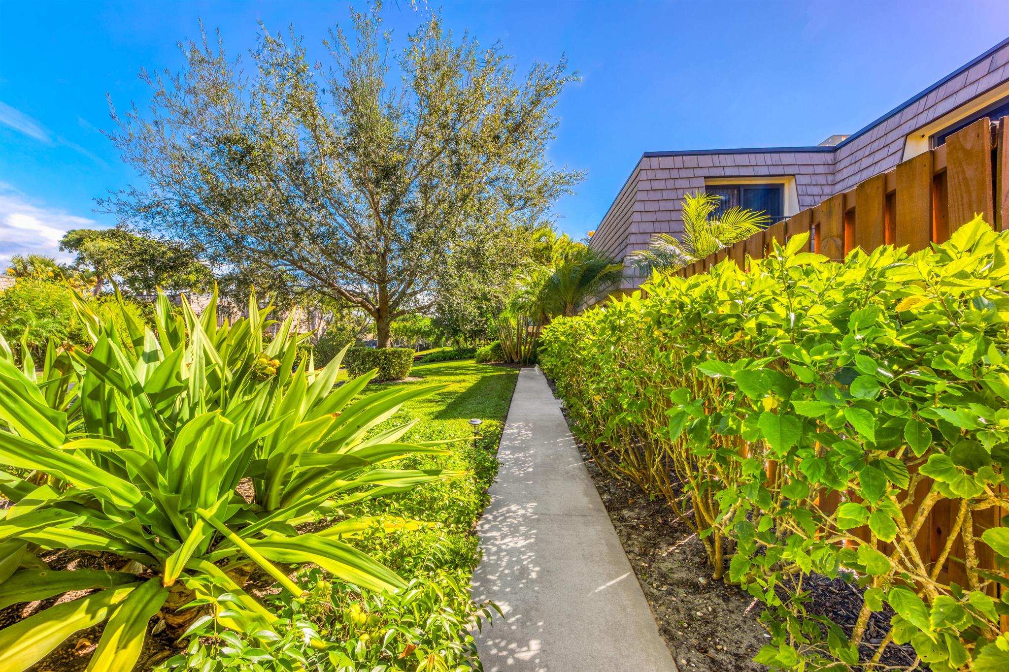 OCEAN COVE - Residential