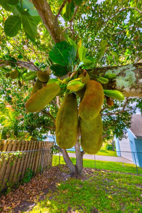 A home in Jensen Beach