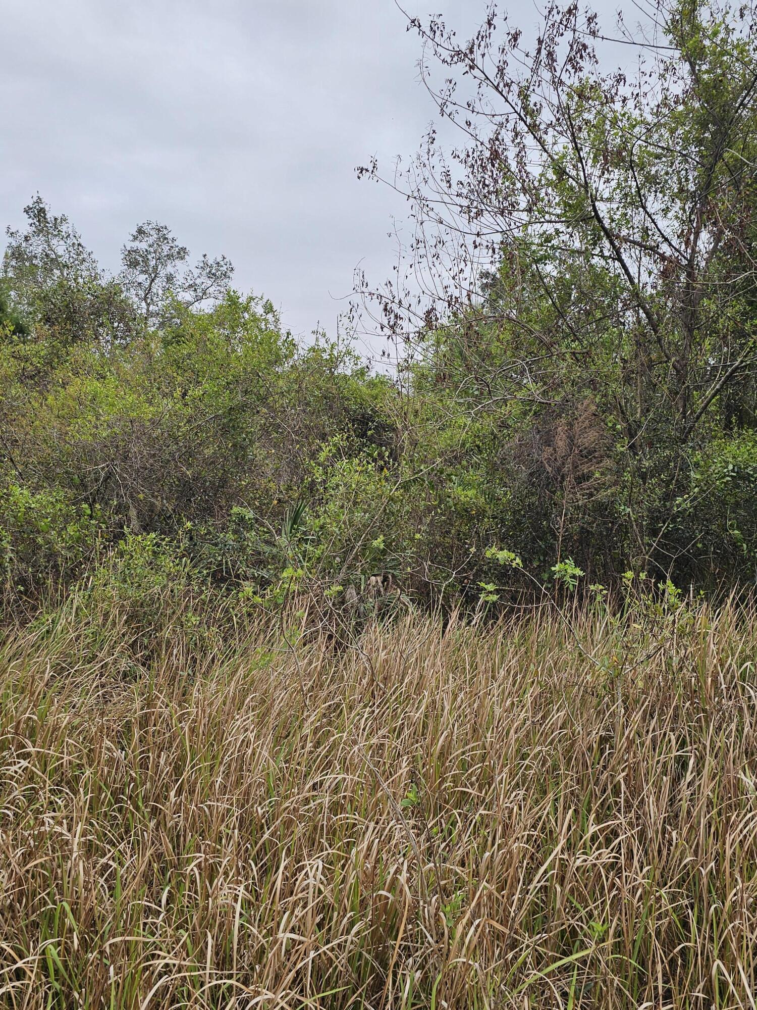 LAKE MONTAZA ESTATES SECTION - Land