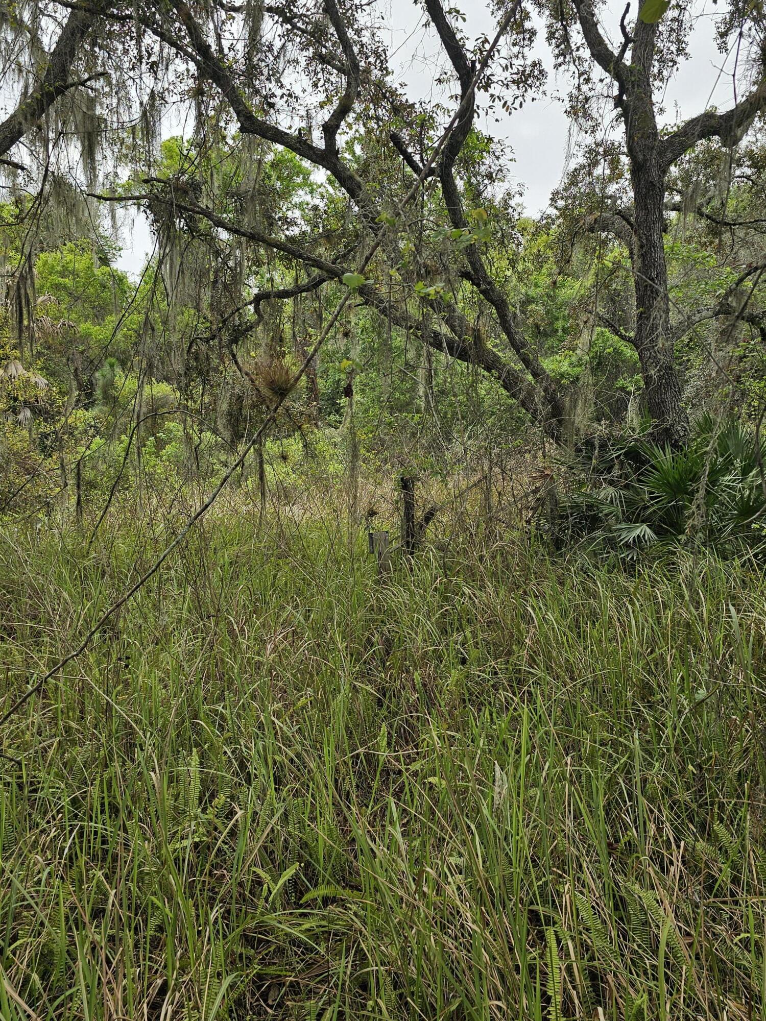 LAKE MONTAZA ESTATES SECTION - Land