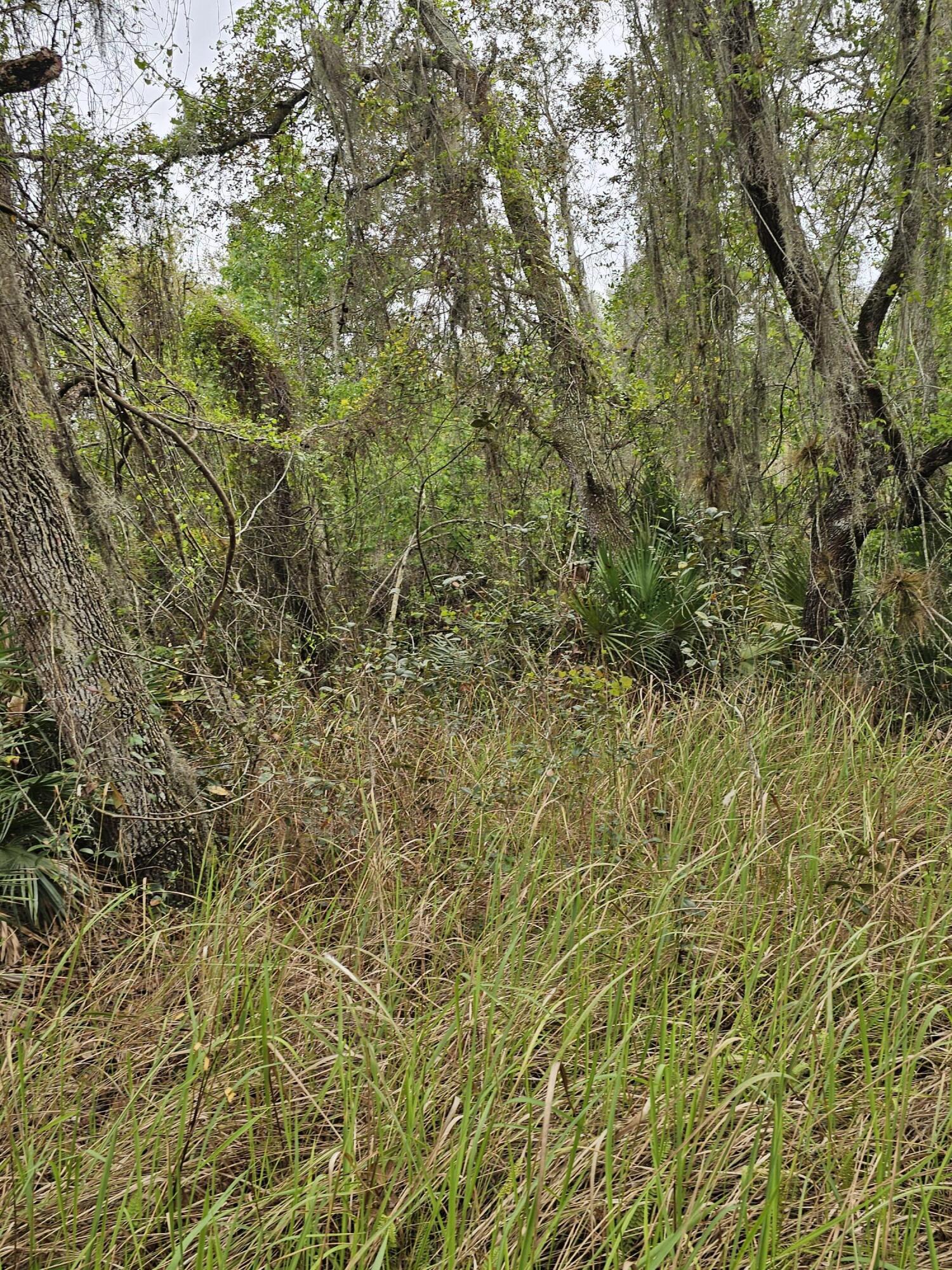 LAKE MONTAZA ESTATES SECTION - Land