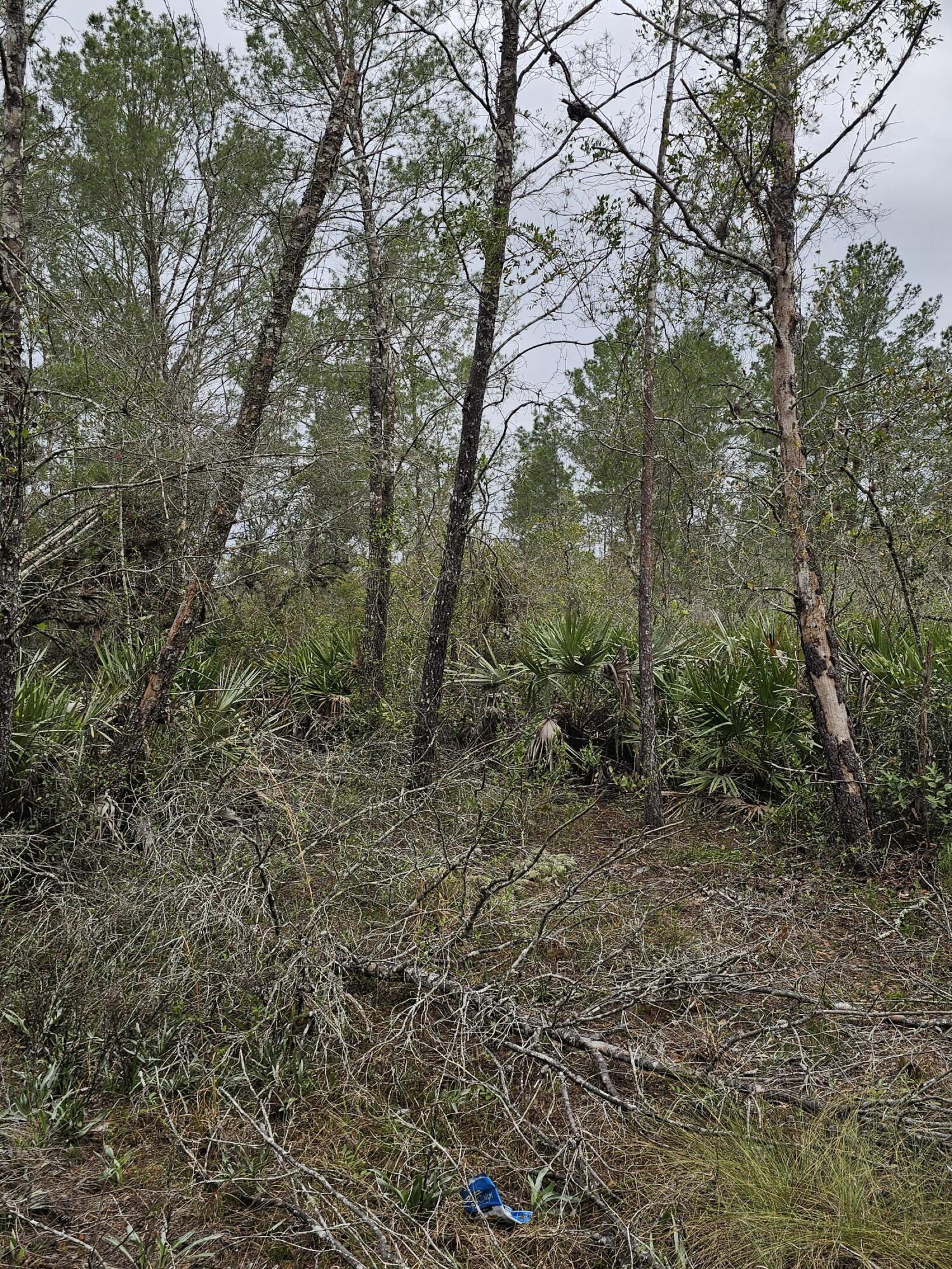 LAKE MONTAZA ESTATES SECTION - Land