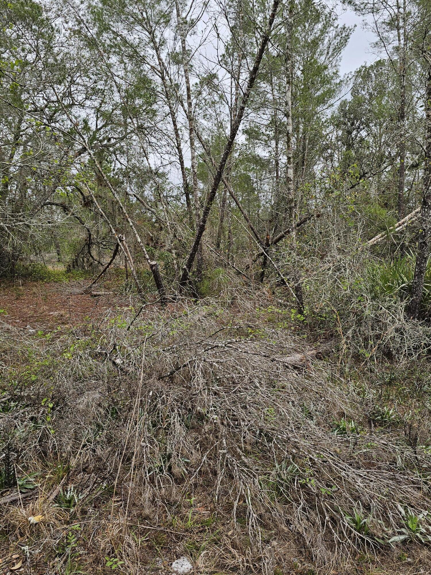 LAKE MONTAZA ESTATES SECTION - Land