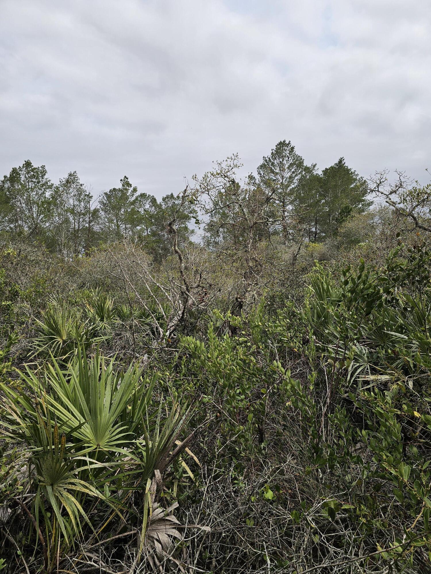 LAKE MONTAZA ESTATES SECTION - Land