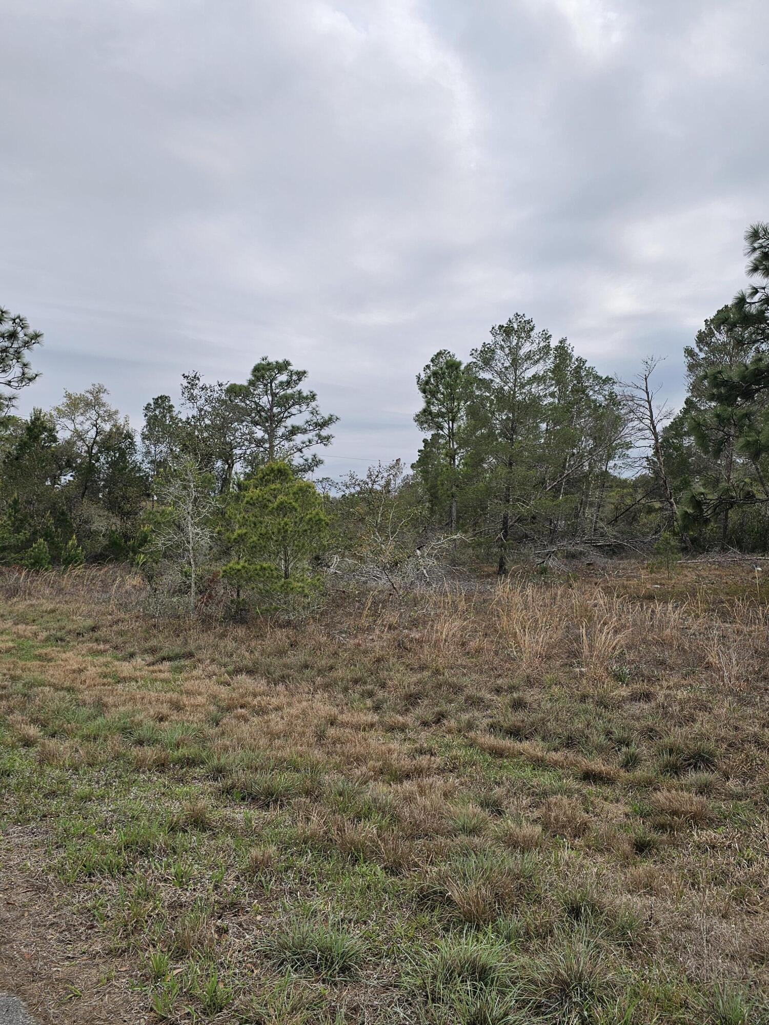 LAKE MONTAZA ESTATES SECTION - Land