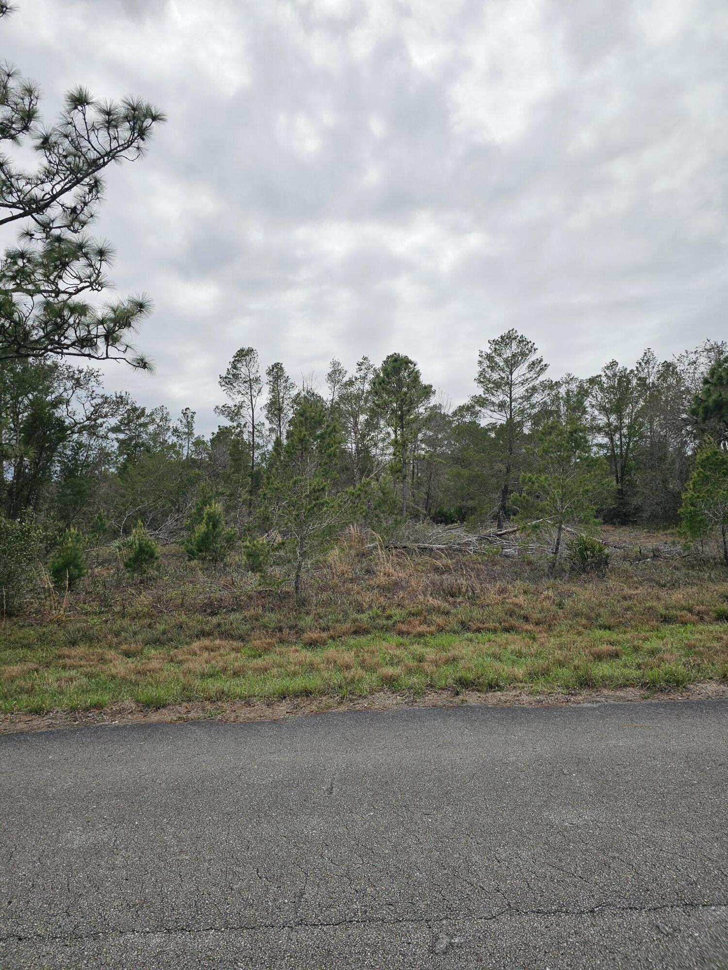 LAKE MONTAZA ESTATES SECTION - Land