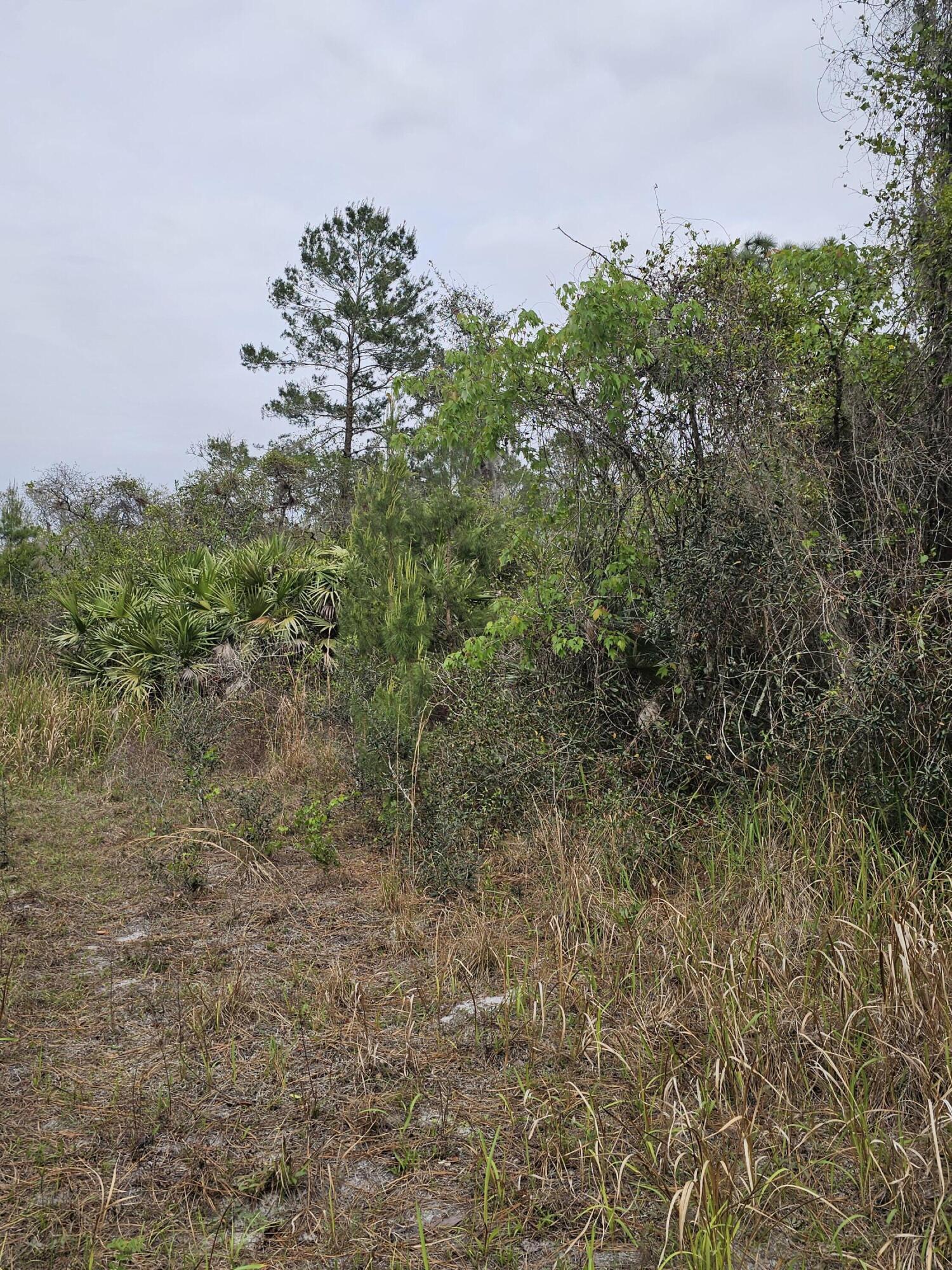 LAKE MONTAZA ESTATES SECTION - Land