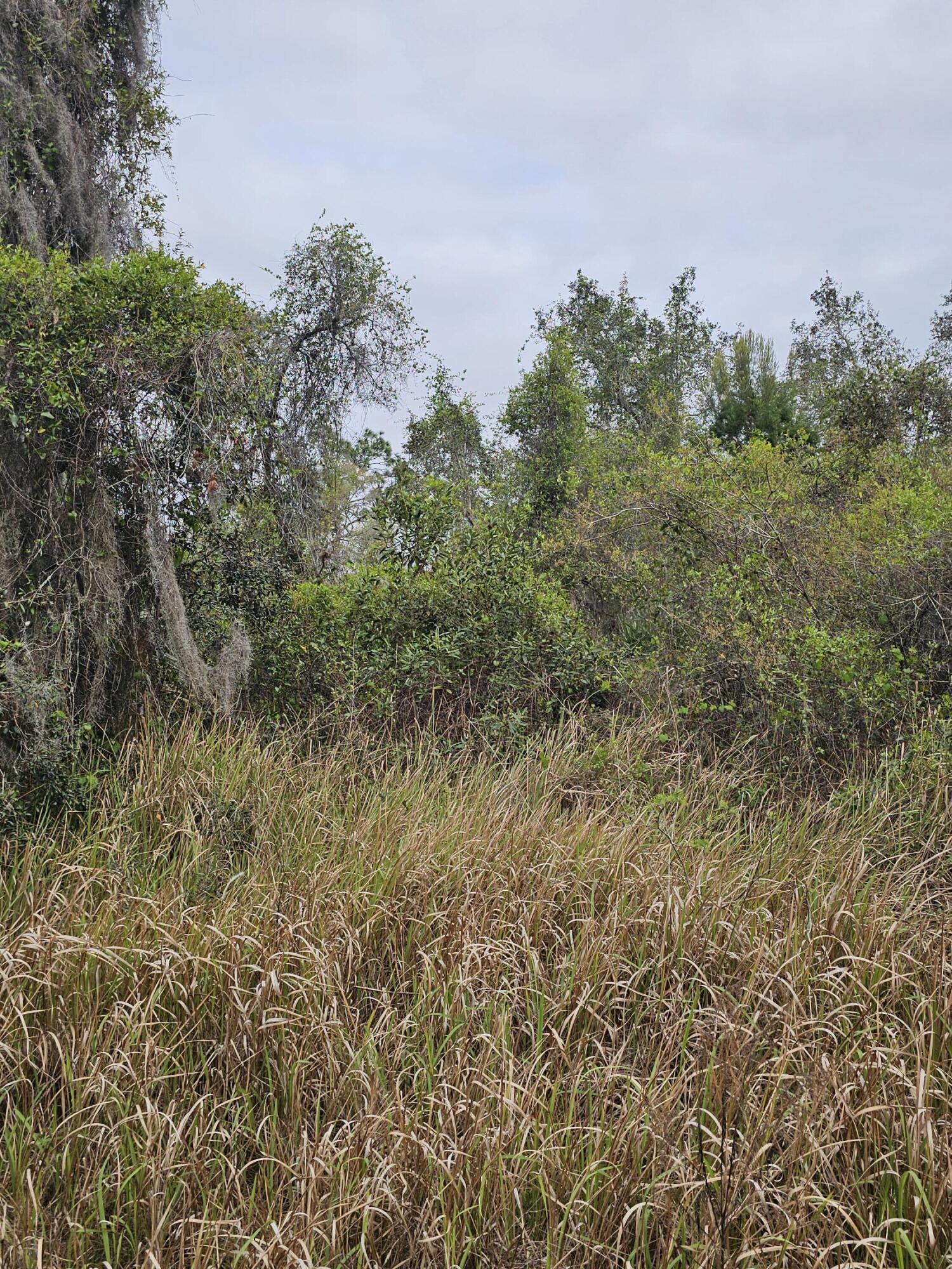 LAKE MONTAZA ESTATES SECTION - Land