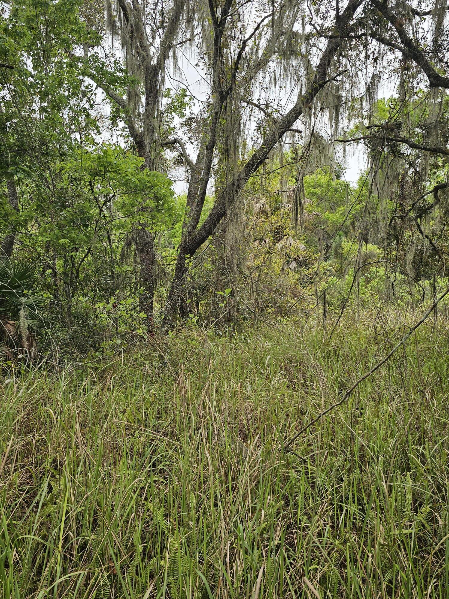 LAKE MONTAZA ESTATES SECTION - Land