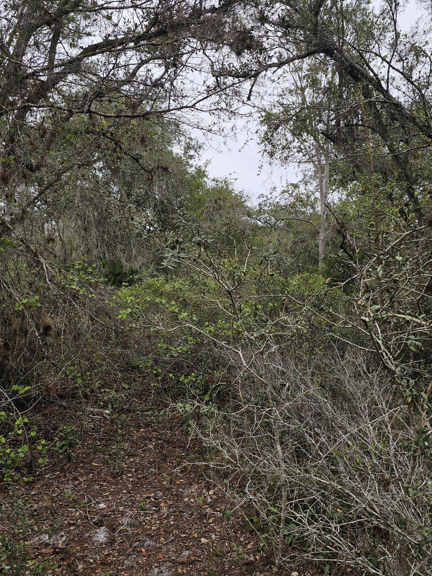 LAKE MONTAZA ESTATES SECTION - Land