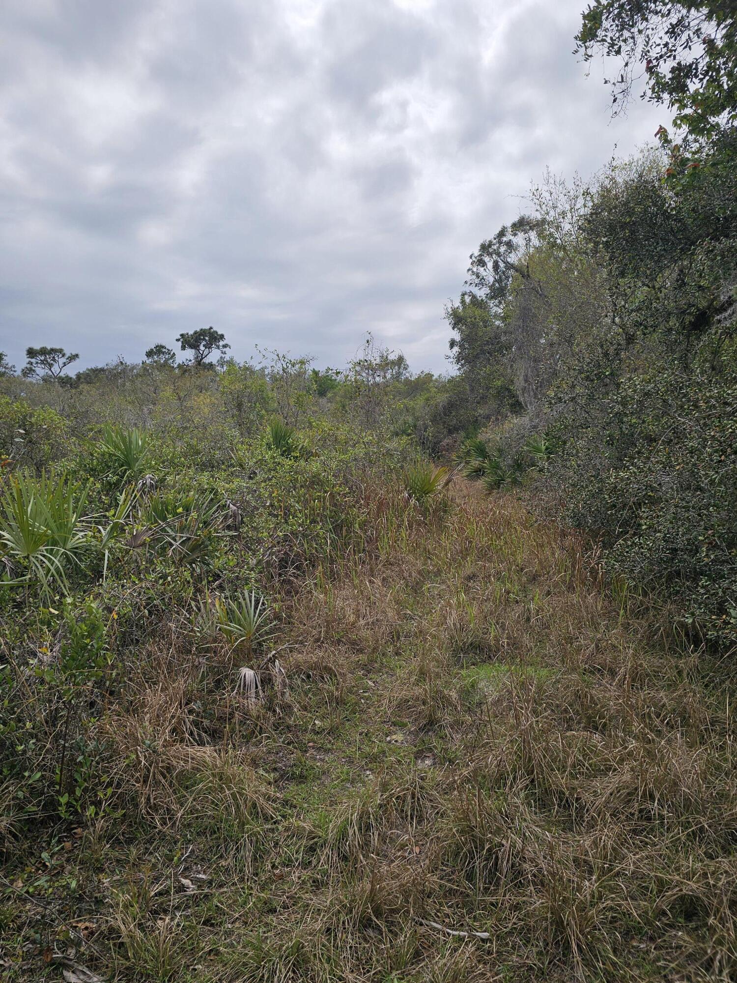 LAKE MONTAZA ESTATES SECTION - Land