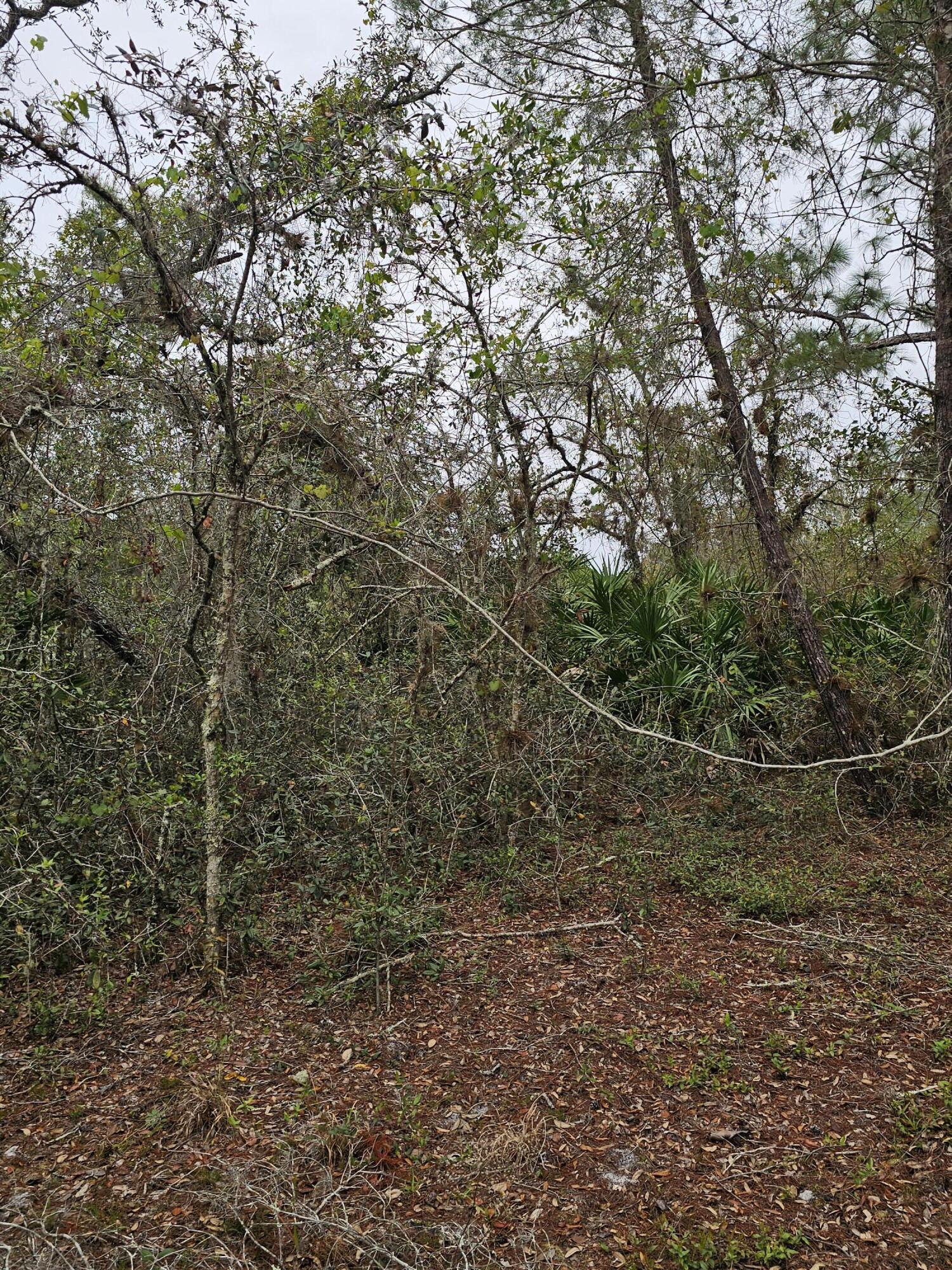 LAKE MONTAZA ESTATES SECTION - Land