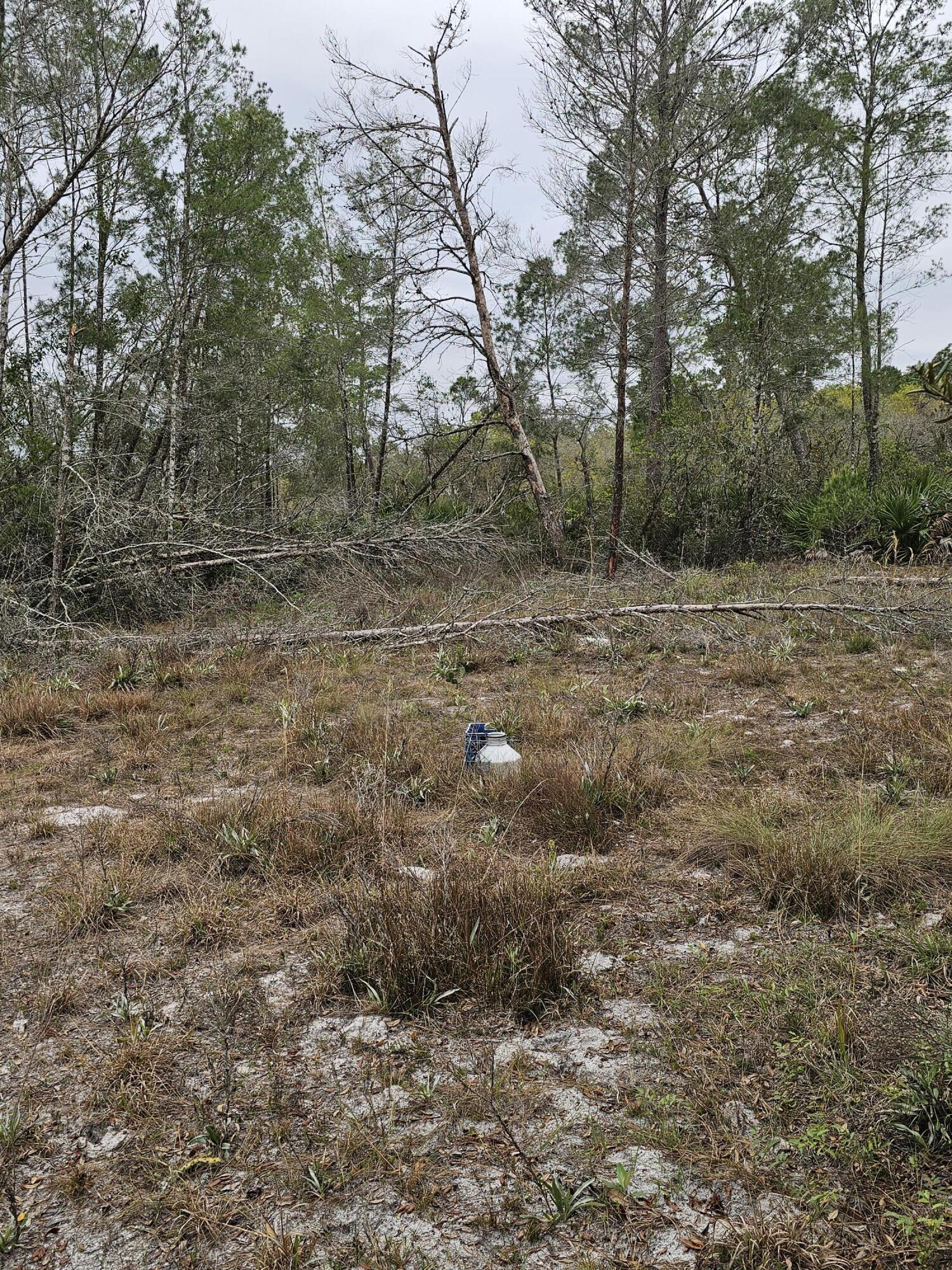 LAKE MONTAZA ESTATES SECTION - Land