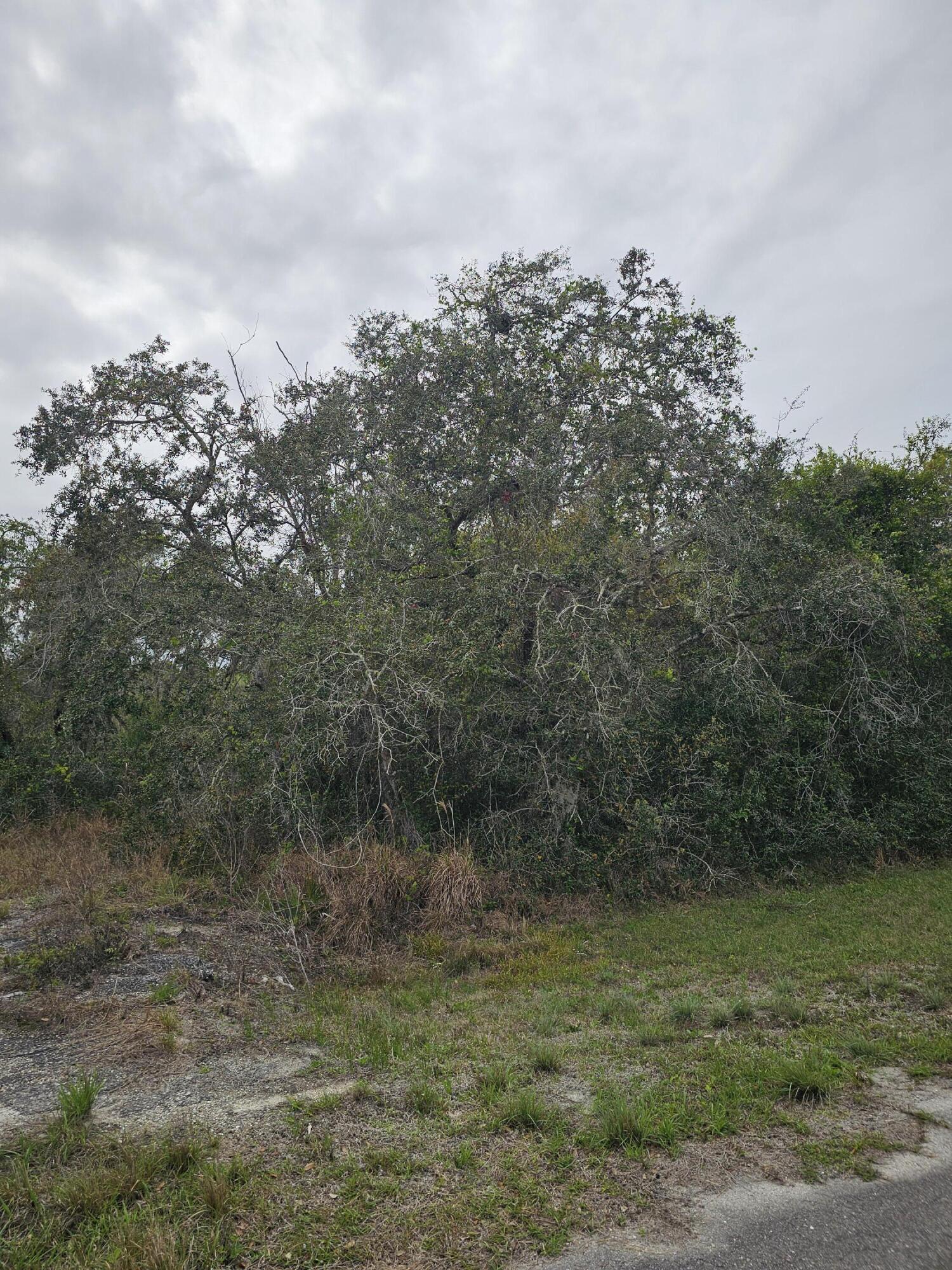 LAKE MONTAZA ESTATES SECTION - Land