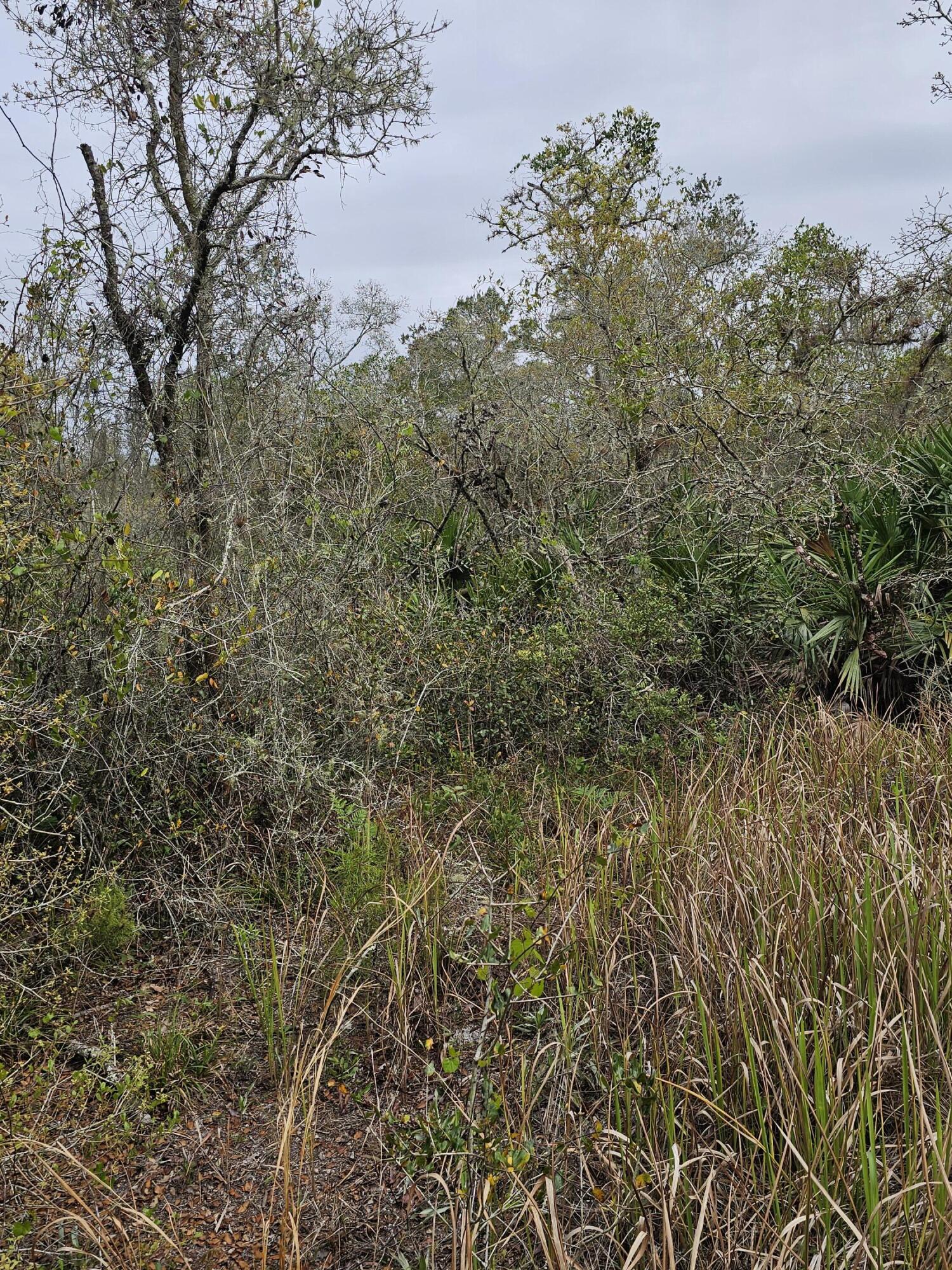 LAKE MONTAZA ESTATES SECTION - Land