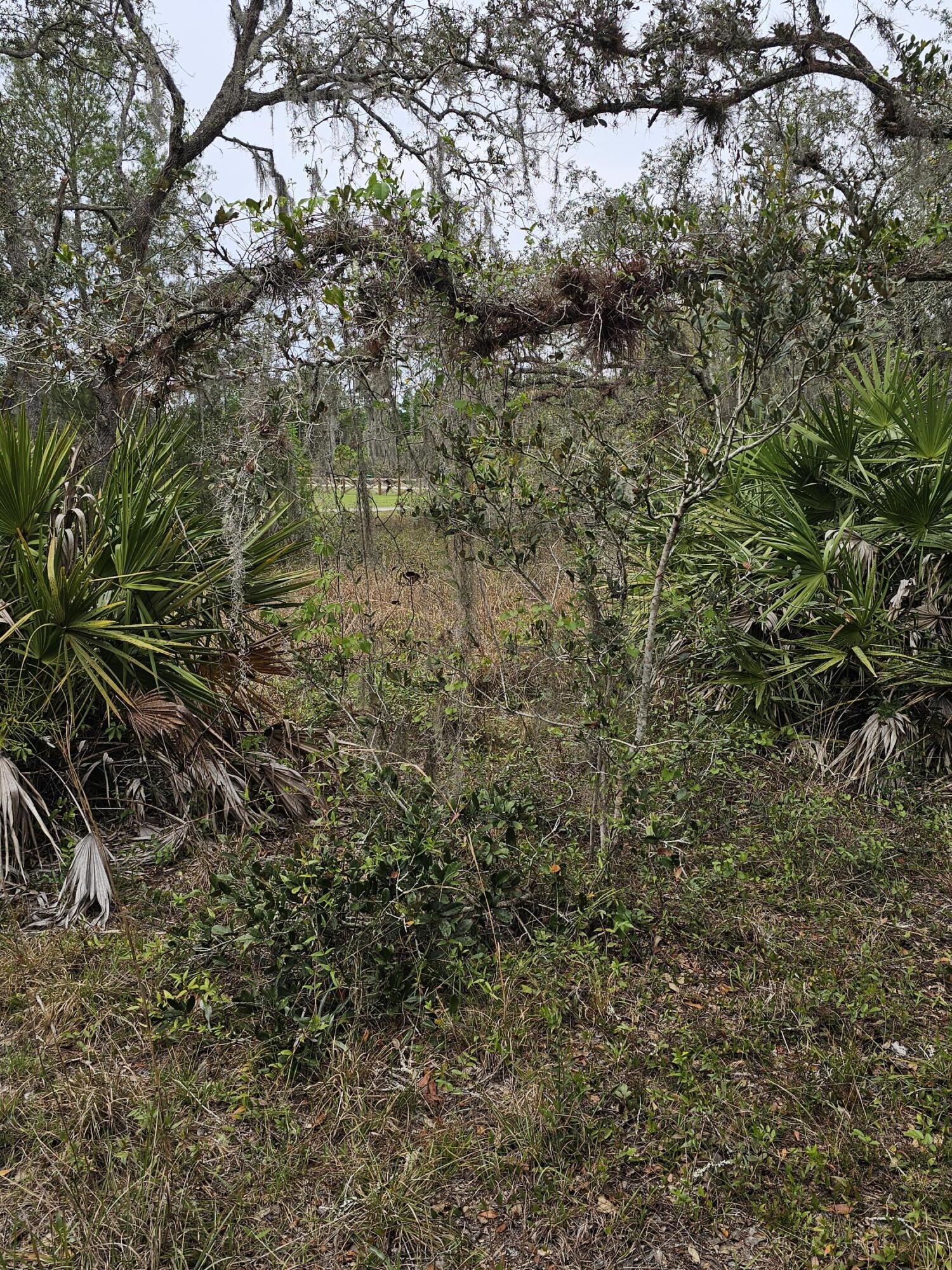 LAKE MONTAZA ESTATES SECTION - Land