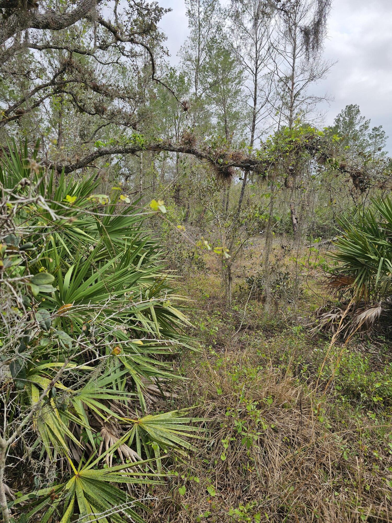 LAKE MONTAZA ESTATES SECTION - Land