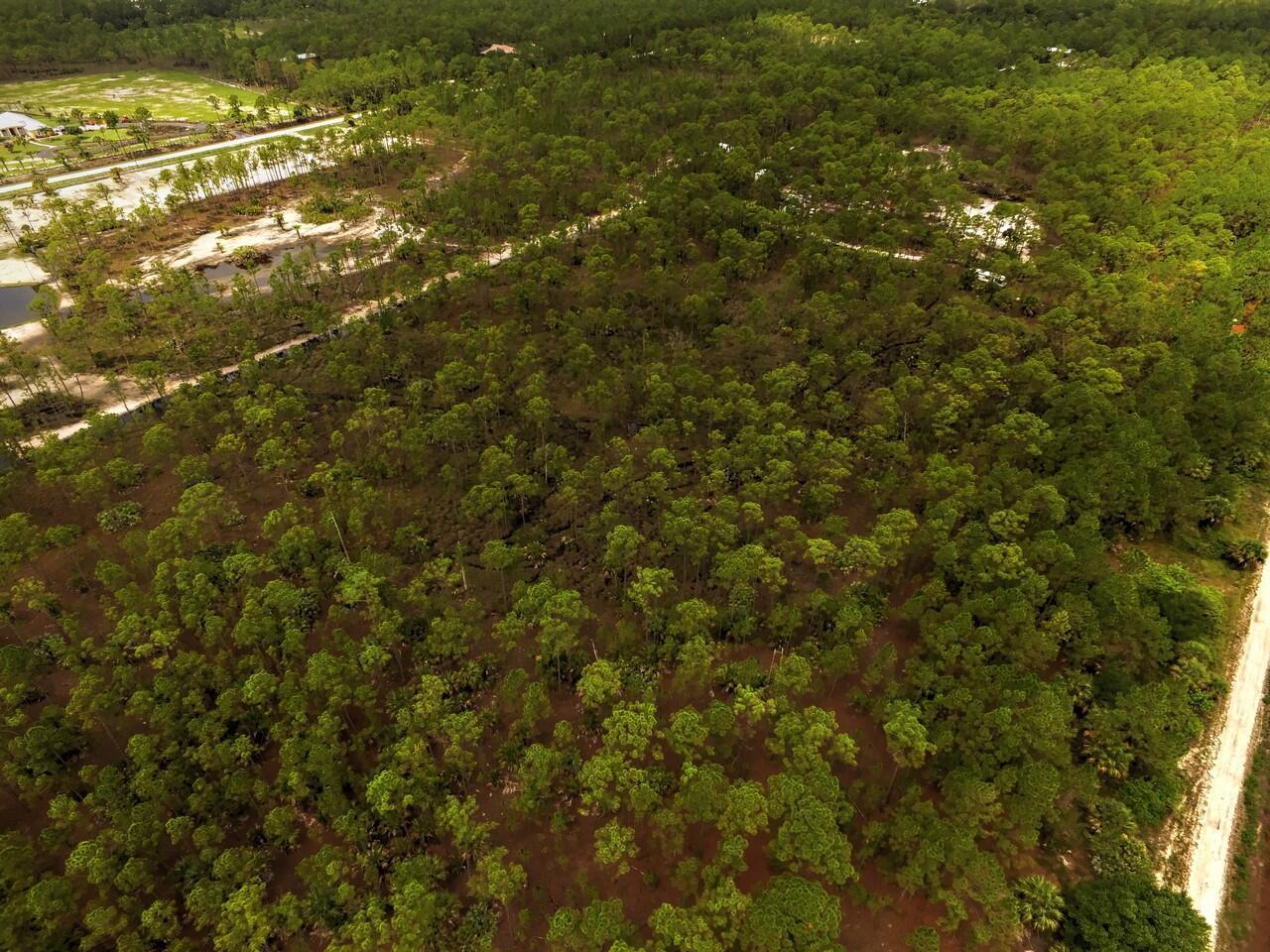 10 acres of land!! Embrace the freedom to design and build on this perfect canvas to craft your dream home and MUCH MORE!This country life is just 20 minutes from the beach. Harmony and tranquility at it's best in growing area of Fellsmere. Raise chickens, cattle, horses, donkeys, & goats, NO HOA, no restrictions!!