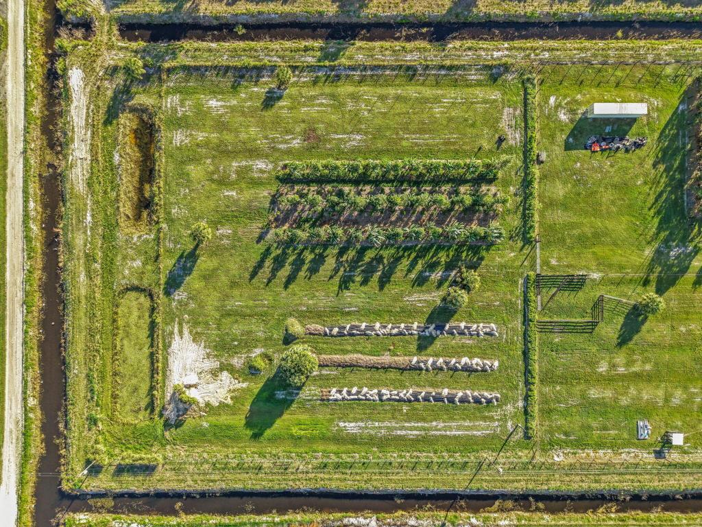 Santa Rosa Groves - Land