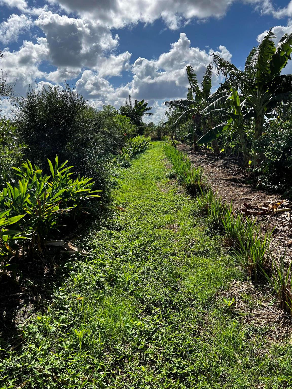 20915 Antoinette Street