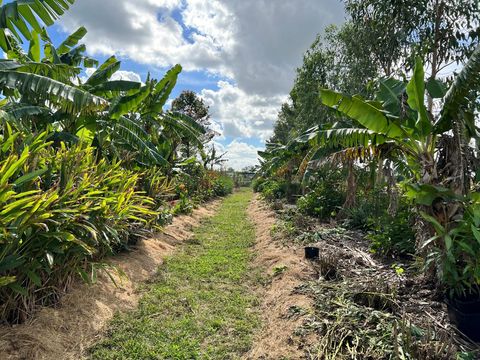 20915 Antoinette Street Loxahatchee FL 33470