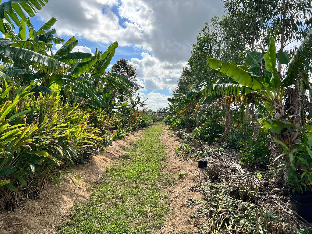 Santa Rosa Groves - Land