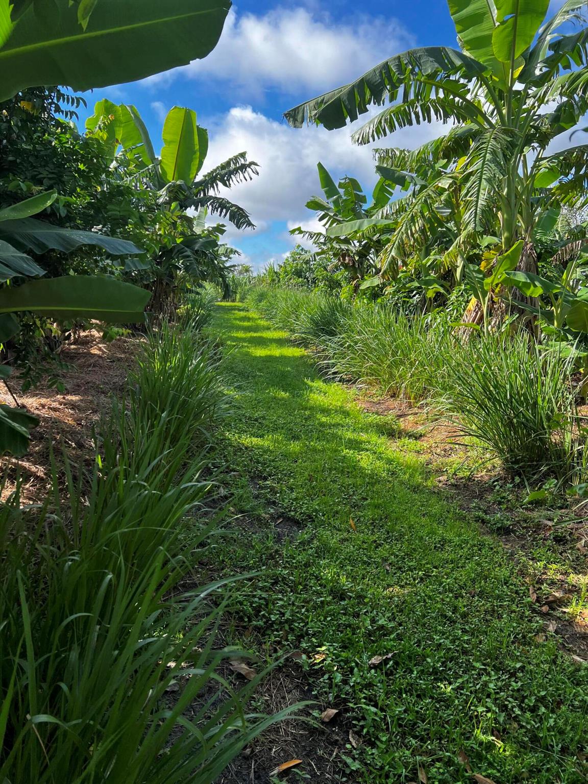 20915 Antoinette Street