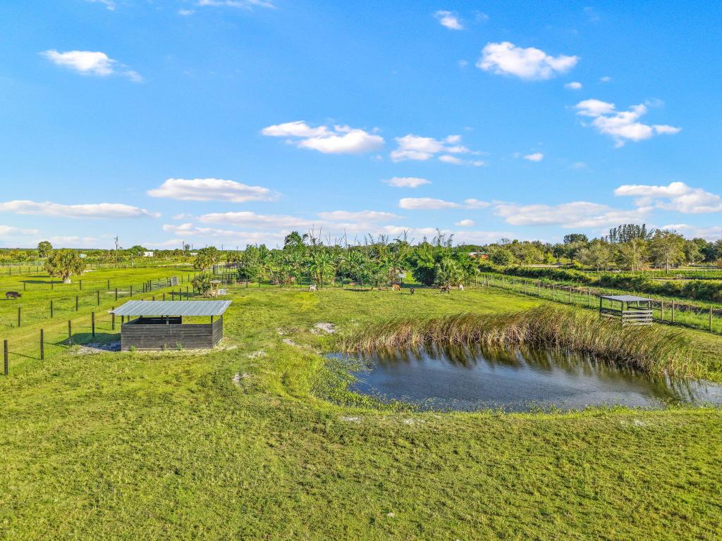 20915 Antoinette Street