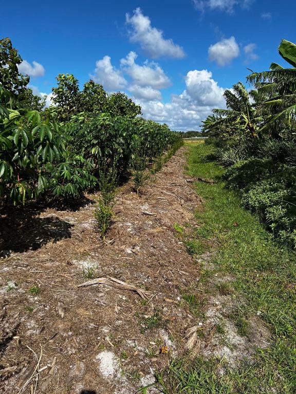 Santa Rosa Groves - Land