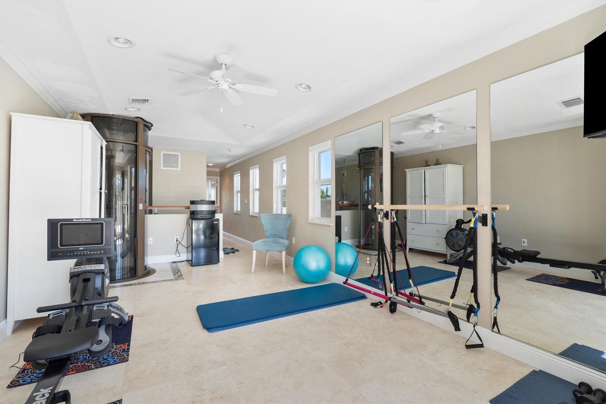 Canary Palm - Residential