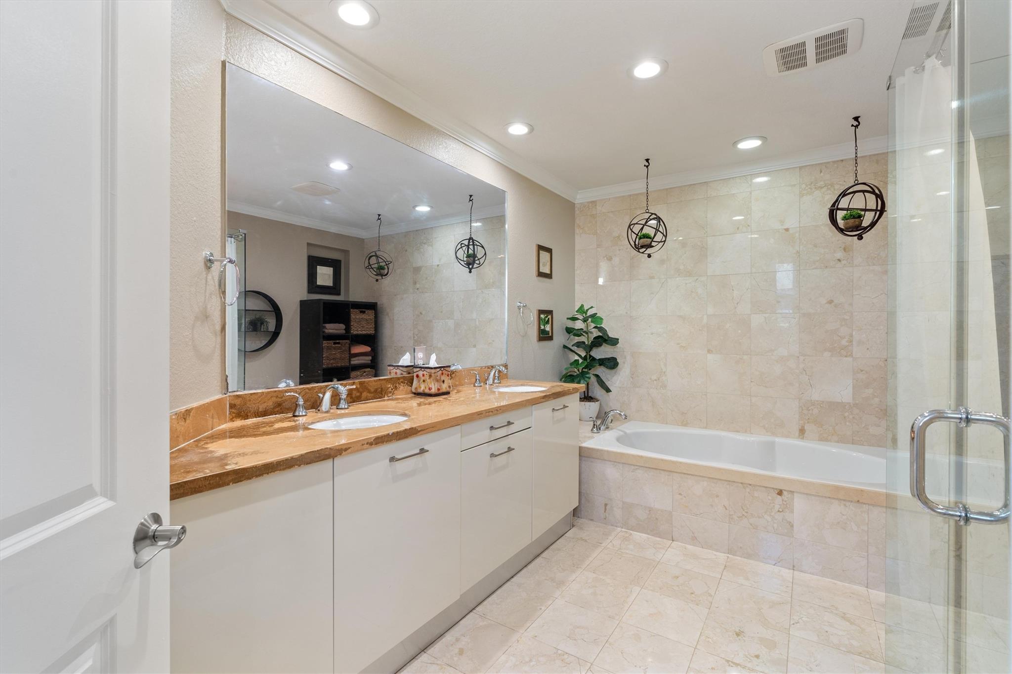 Canary Palm - Residential