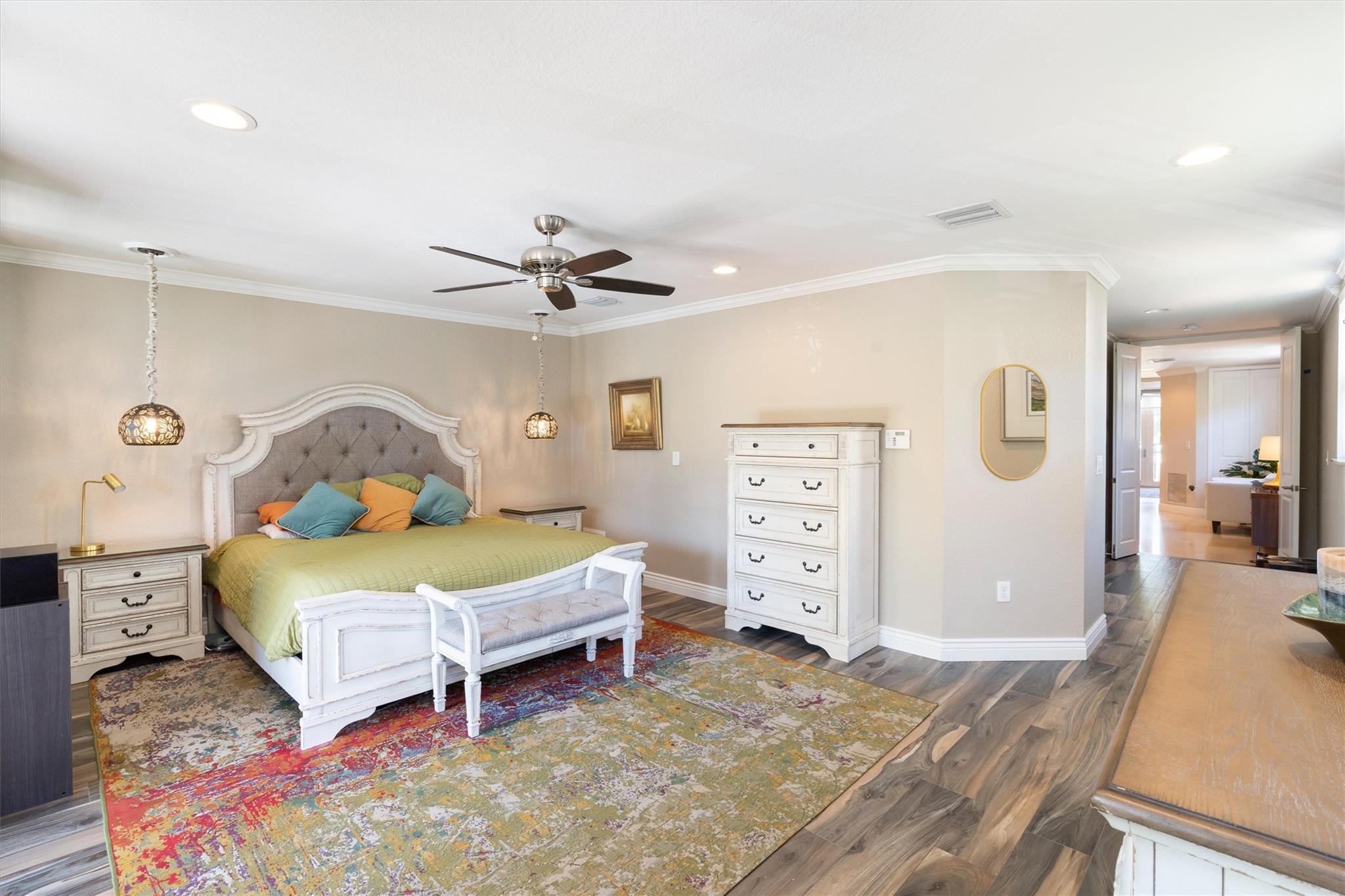 Canary Palm - Residential